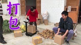 小希雙11大干一場，一家人從早忙到黑，20箱測試品打包明天發貨【鄉野小希】