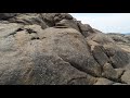 പല്ലൻ വ്ലാങ്ക് eel fish kovalom beach trivandrum kerala fishing.