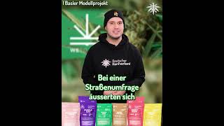 Cannabis-Modellprojekt in Basel gestartet - Was sagen die Basler dazu?
