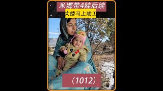 第1012集 米娜正在装修房子 但是米娜太想阿扎达 #米娜 #热点 #纪录片解说