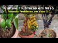 Como cultivar Frutíferas em Vaso | Fórmula Frutíferas em Vaso 5.0