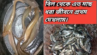 বিলের দেশি তাজা মাছ একসাথে দেখলাম।Deshi fishing video 2021, latest video song 2021,BD fishing method