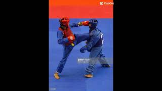 vovinam - Việt võ đạo