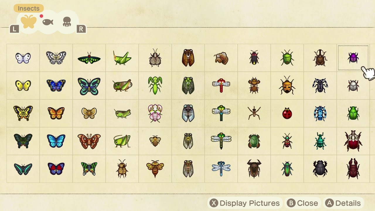 Animal Crossing New Horizons - 100% Bug Critterpedia Complete - YouTube