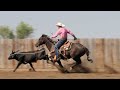 roping.com addressing backsliding in head horses