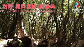 台灣 魔幻森林-塔曼山 Taiwan, Tamanshan (Mt. Taman) - The Magic Forest