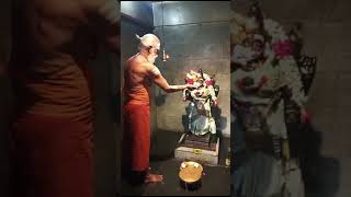 திருமங்கலம் சிதம்பரேஸ்வரர் உடனுறை ஶ்ரீ சிவகாமசுந்தரி அம்மன் இன்றைய தீபாராதனை