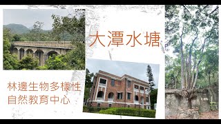 [郊遊 Vlog] 輕遊柏架山道自然徑 #林邊生物多樣性自然教育中心 #大潭水塘 #冷氣走廊 #野豬家族出遊