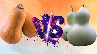 What's the DIFFERENCE Between A SQUASH and A GOURD? 🤔#edibleknowledge