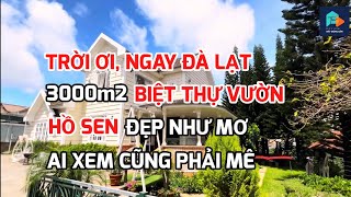 Trời ơi! Biệt thự sân vườn ao sen đẹp như mơ hơn 3000m2 ngay trung tâm Đà Lạt ai xem cũng mê