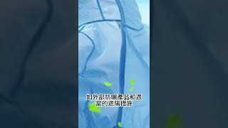 【防曬 推薦】紫蘇葉：富含β 胡蘿蔔素和類黃酮，有效抵抗 紫外綫守護肌膚！3