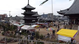 西大寺会陽あとまつり2013の会場