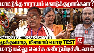 வாடிவாசல் வரதுக்கு முன்னாடி இந்த Test-லாம் எடுத்து தான் அனுப்புபோம்😱| Jallikattu Medical Camp Visit