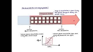 Brandl's Basics: Therapeutic Window versus Therapeutic Index