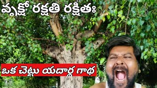 ఒక చెట్టు యదార్థ గాథ // వృక్షో రక్షతి రక్షితః