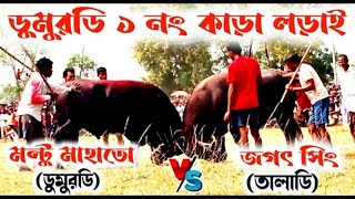 ডুমুরডি আসরে ☆1 নং কাড়ার দূর্দান্ত লড়াই  #karalorai #কাড়া_লড়াই #ajitmahato