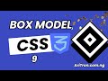 Box Model