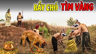 BẦY CHÓ TÌM VÀNG | Phim Truyện Cổ Tích 2024 | Cổ Tích Đất Việt 2024 | Cổ Tích Việt Nam 2024 | THVL