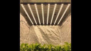 Plant growth light block and installation - CERTIVITY