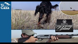 Beretta A400 Upland calibre 28, una escopeta ideal para el cazador moderno