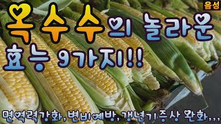 옥수수의 놀라운 효능 9가지!!