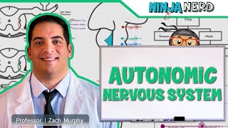 Neurology | Autonomic Nervous System