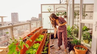 How to Start a Food Garden NO MATTER Where You Live!