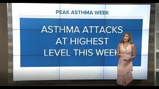 Allergic Asthma Peak Week: How to protect yourself