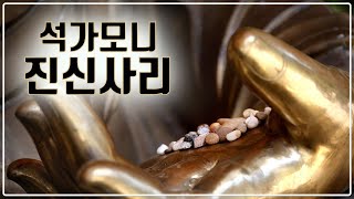 사리의비밀 1 - 석가모니 진신사리