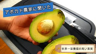 アボカドの切り方