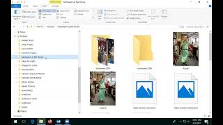 Computer Basics: Files and Folders