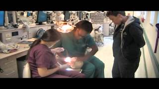 VCU School of Dentistry Application Video