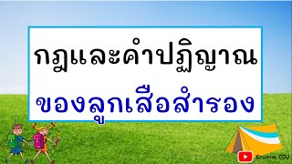 กฎและคำปฏิญาณของลูกเสือสำรอง | กฎของลูกเสือสำรอง ป.1-3 | กฎของลูกเสือ คำปฏิญาณของลูกเสือ Krumim EDU