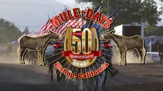 Mule Days 50th Event May 21-26 2019