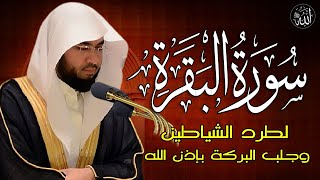 سورة البقرة لحفظ وتحصين المنزل وجلب البركة من أروع التلاواتSourah Baqara