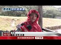 寒流來襲！ 陽明山有望重現「銀白世界」 降雪熱點啟動管制