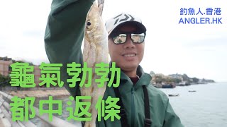 龜氣勃勃之下終於中魚！| 坪洲 | 中文字幕