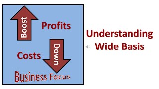 Understanding Wide Basis