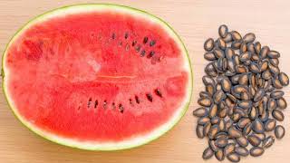 10 सबसे Healthy और Nutritious Fruits जो आपके Health को दुरुस्त रखता है