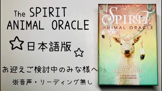 お迎えをご検討中のみな様へ✨ The SPIRIT ANIMAL ORACLE