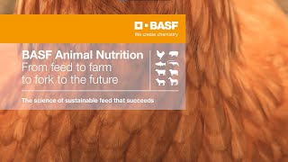 BASF Animal Nutrition – Science-led solutions to the feed industry