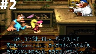 【レトロゲー】スーパードンキーコング3 #2【レトロゲーム実況】DONKEY KONG COUNTRY3