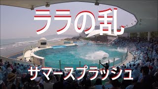 鴨川シーワールド２０１８　シャチパフォーマンス２００　GoProでサマースプラッシュでご機嫌を損ねたララを撮ってみた　killer whale show