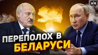 Шухер в Беларуси, как уберут Лукашенко и Путина, тонкости развала России - Татьяна Мартынова