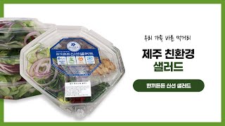 [찐맛리뷰] 제주가 통째로 들어간 샐러드🥗 | 한끼든든 신선 샐러드