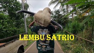 Lembu Satrio Bantengan mberot full kalapan