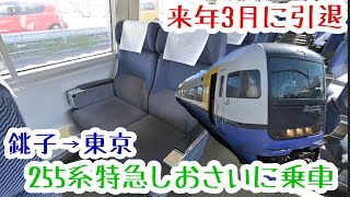 【来春引退】255系特急しおさいに全区間乗車してきました