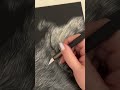 my favorite scratchboard tools and surface materials used in description