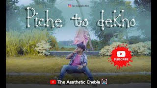 Pichey To Dekho | Prottoy Heron | The Ajaira LTD | DJ Alvee | @The Aesthetic Chebla