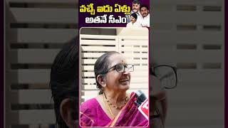 వచ్చే అయిదు ఏళ్ళు అతనే సీఎం | Public Talk On AP Next CM | Telugu Popular TV